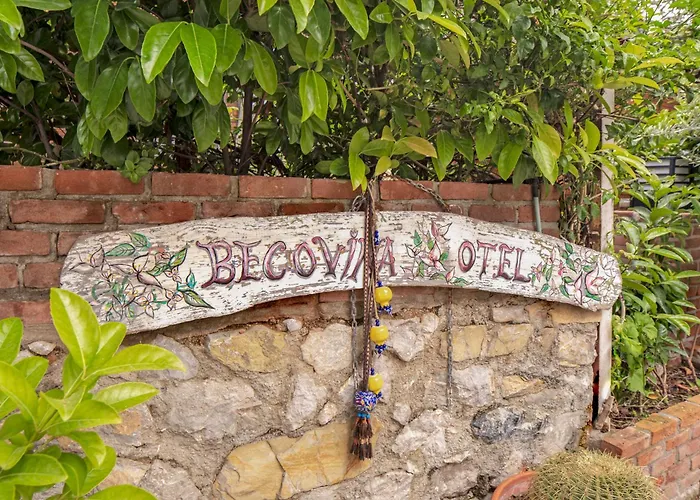 Begovina *
